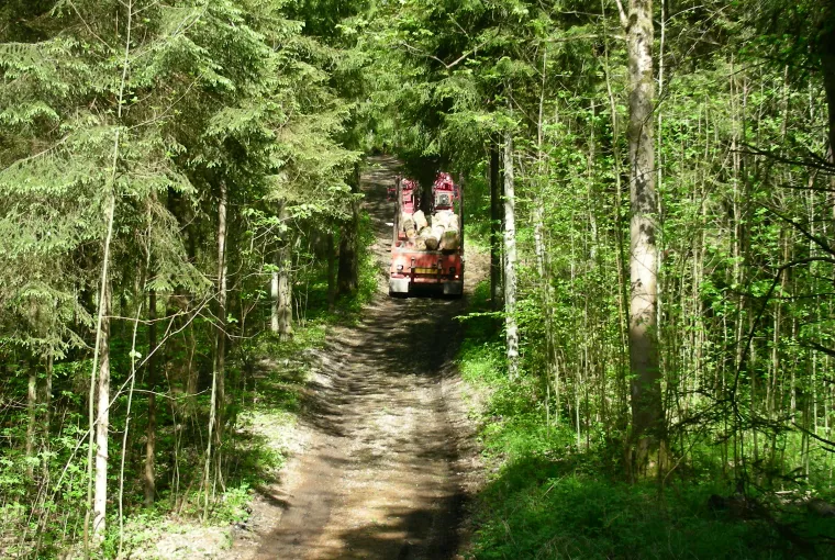  Le domaine forestier correspond à 82 % (295 ha) de la surface totale d'Haugimont. Il bénéficie d'une gestion selon des principes d'une sylviculture écologique "Pro Silva". 