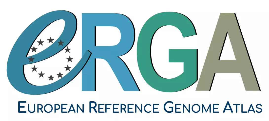 ERGA - European Reference Genome Atlas